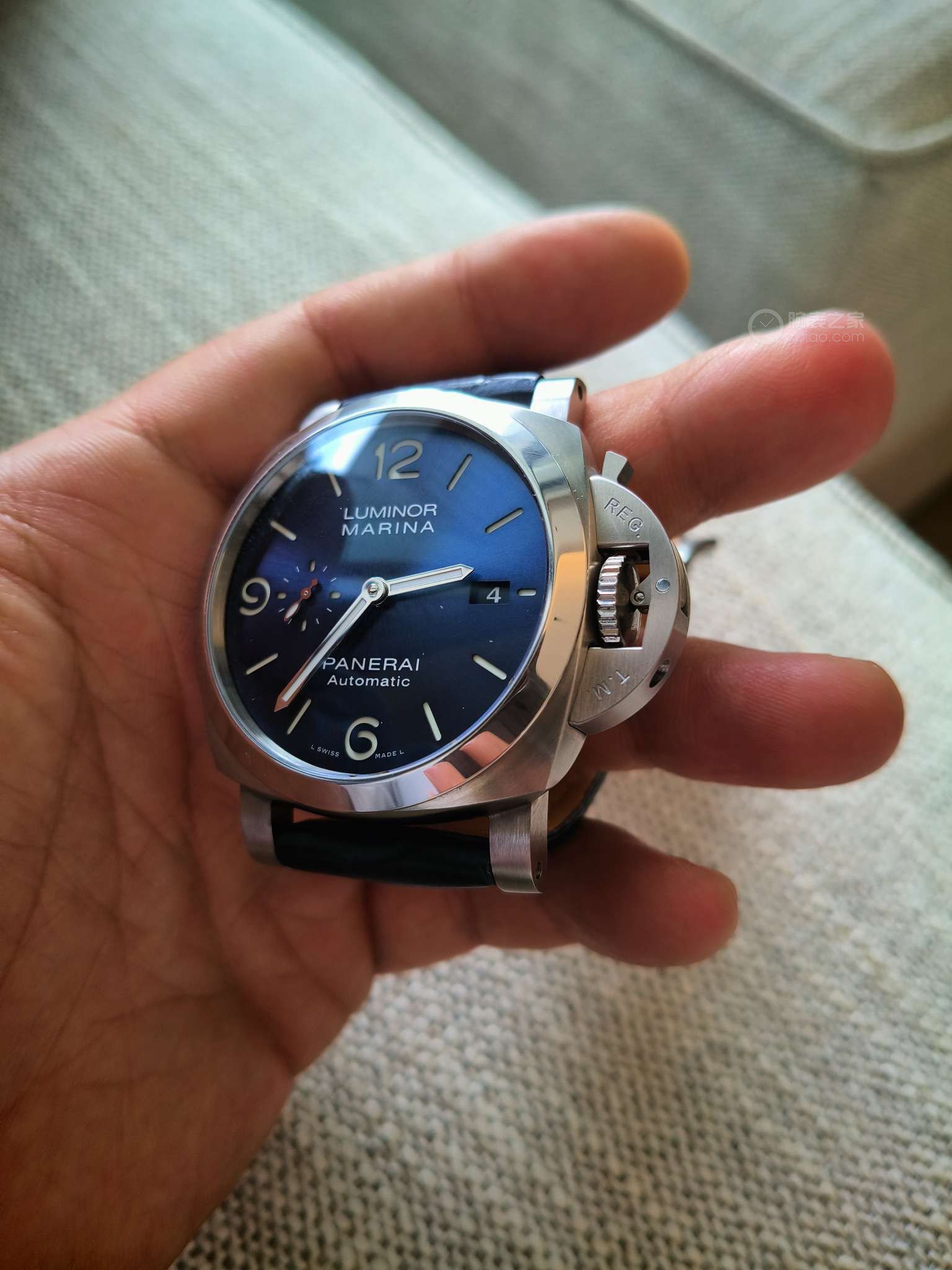 Panerai Luminor Marina 1313 Review: The Sunburst Blue Dial That Finally Ended My Hunt
